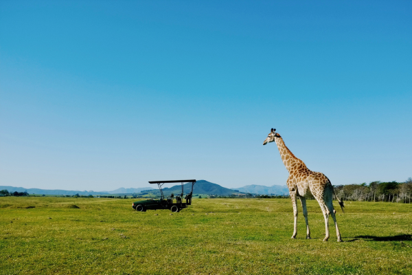 Elegant-Guney-Afrikada-4-ulke-victoria-selalesi-6.png