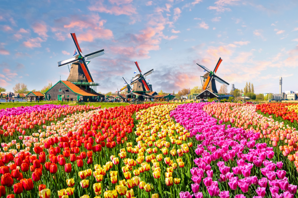 amsterdam-turu-pegasus-havayollari-ile-3-gece-kapak.png