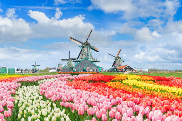 amsterdam-turu-thy-yeni-3-gece-kapak.png