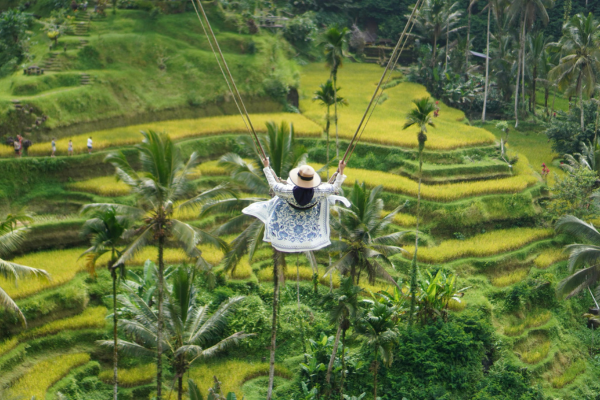 bali-ubud-turu-rotasi-8.png