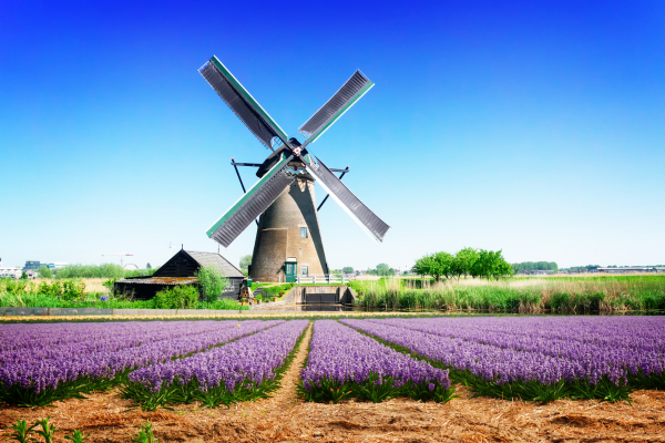 comfort-benelux-paris-alsace-isvicre-turu-ajet-8.png