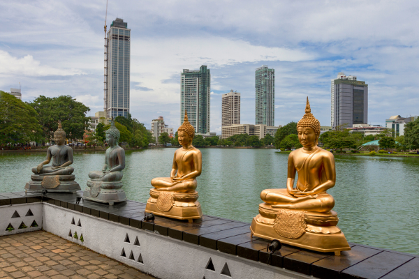 dolu-dolu-doga-harikasi-sri-lanka-turu-rotasi-1.png