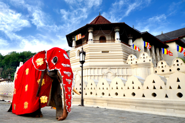 dolu-dolu-doga-harikasi-sri-lanka-turu-rotasi-4.png