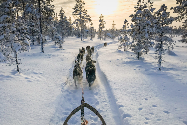 dolu-dolu-lapland-turu-beyaz-rotalar-3-gece-mustaparta-3.png