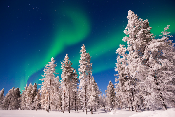 dolu-dolu-lapland-turu-beyaz-rotalar-3-gece-mustaparta-4.png