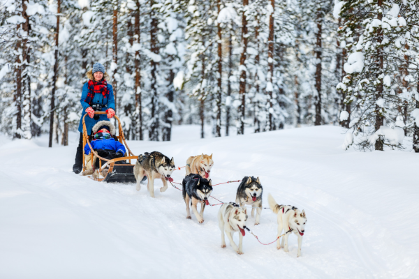 dolu-dolu-lapland-turu-beyaz-rotalar-haparanda-stadshotell-3.png