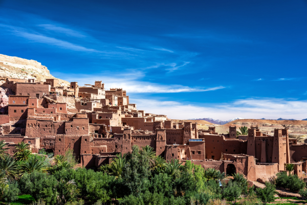 elegant-fas-col-safari-turu-air-arabia-ile-4-gece-3.png