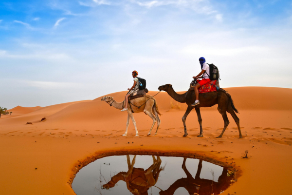 elegant-fas-col-safari-turu-air-arabia-ile-4-gece-8.png