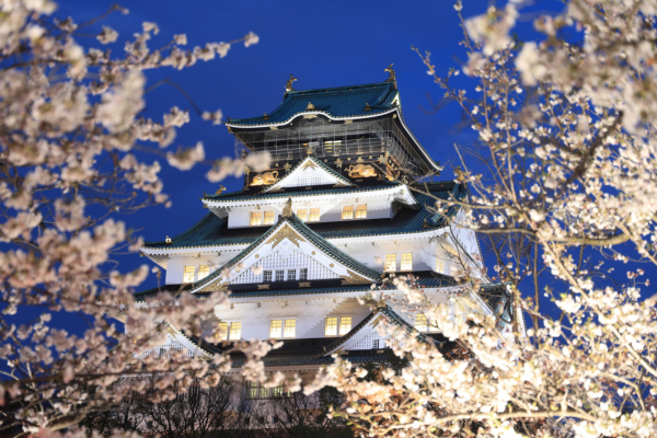 elegant-japonya-kore-turu-thy-5.png