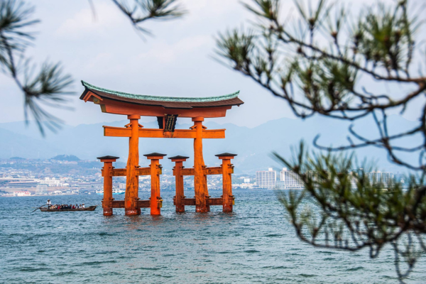 elegant-japonya-kore-turu-thy-6.png