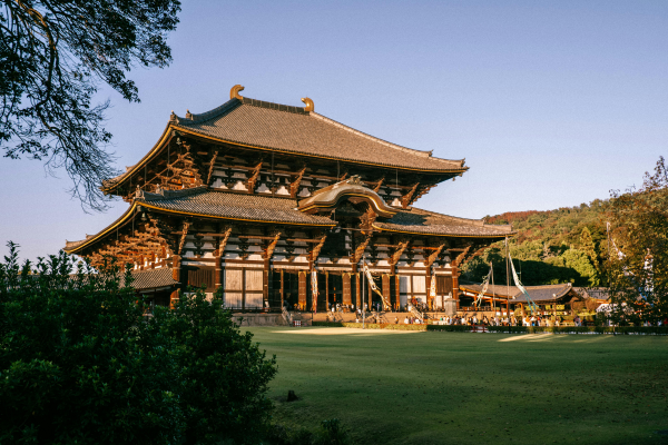 elegant-japonya-kore-turu-thy-7.png