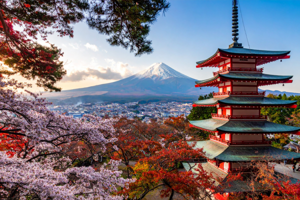 elegant-japonya-turu-thy-7.png