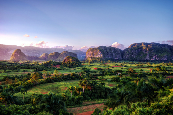 elegant-kuba-turu-thy-ile-3.png