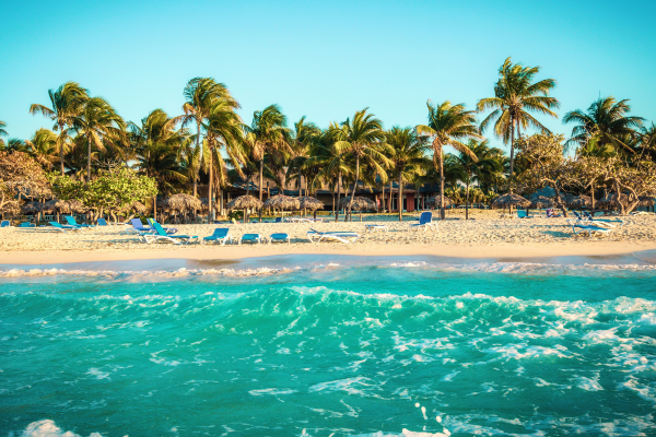 elegant-kuba-turu-thy-ile-8.png