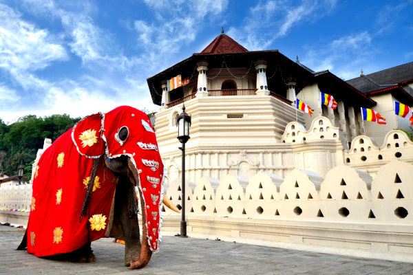 elegant-srilanka-turu-thy-4.png