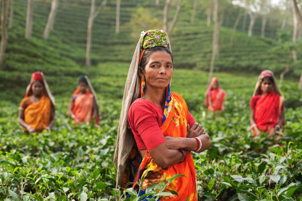 elegant-srilanka-turu-thy-kapak.png