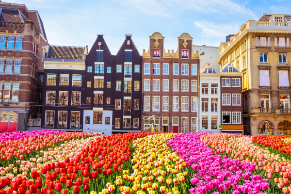 express-benelux-paris-turu-ory-ams-6.png