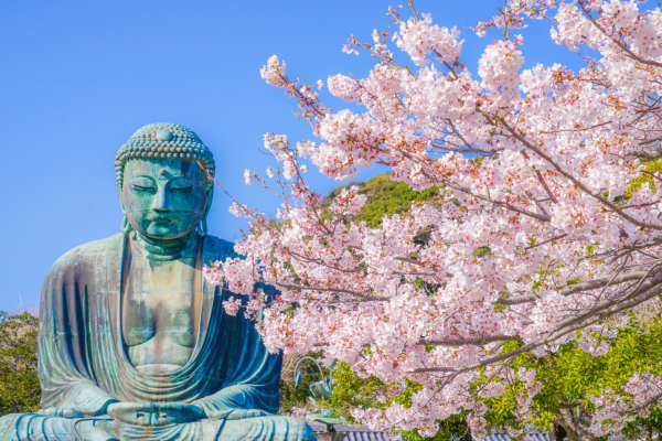 firsat-japonya-turu-7(1).png