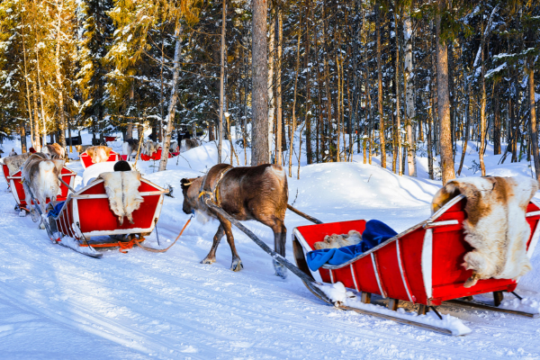 kuzey-isiklari-lapland-turu-4.png