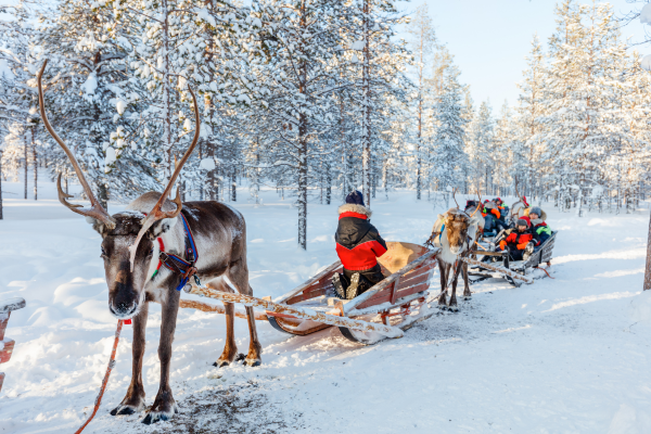 kuzey-isiklari-lapland-turu-8.png