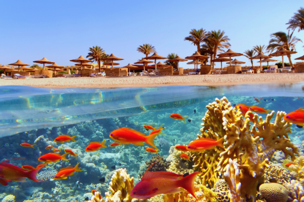 royal-sharm-el-sheikh-turu-ajet-hava-yollari-ile-3-gece-5-gun-6.png