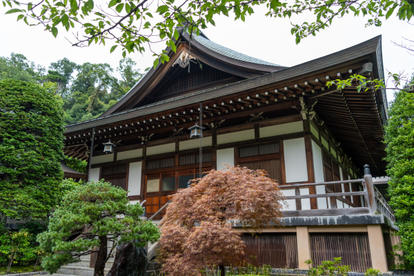 sakura-donemi-dolu-dolu-japonya-turu-6.png