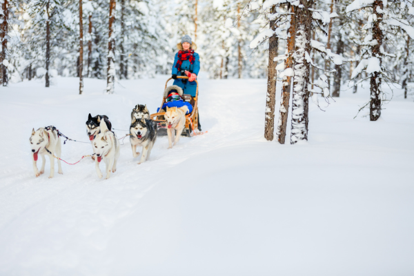 super-promo-lapland-turu-beyaz-rotalar-3-gece-olof-2.png